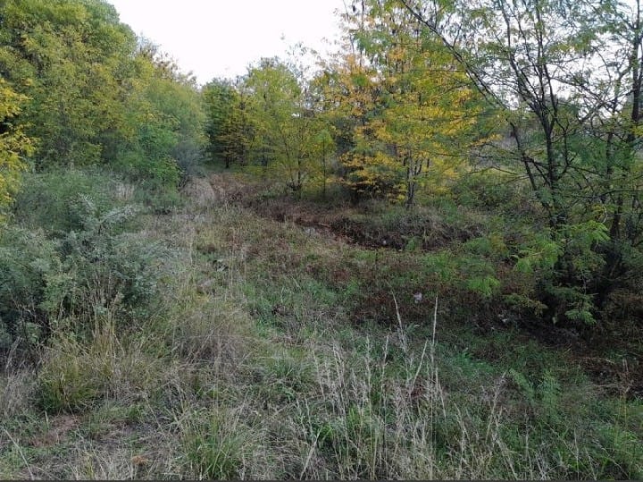 2 Bedroom Property for Sale in Estoire Free State